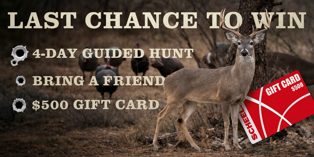 Last chance to win — 4-day guided hunt, bring a friend, $500 Scheels gift card