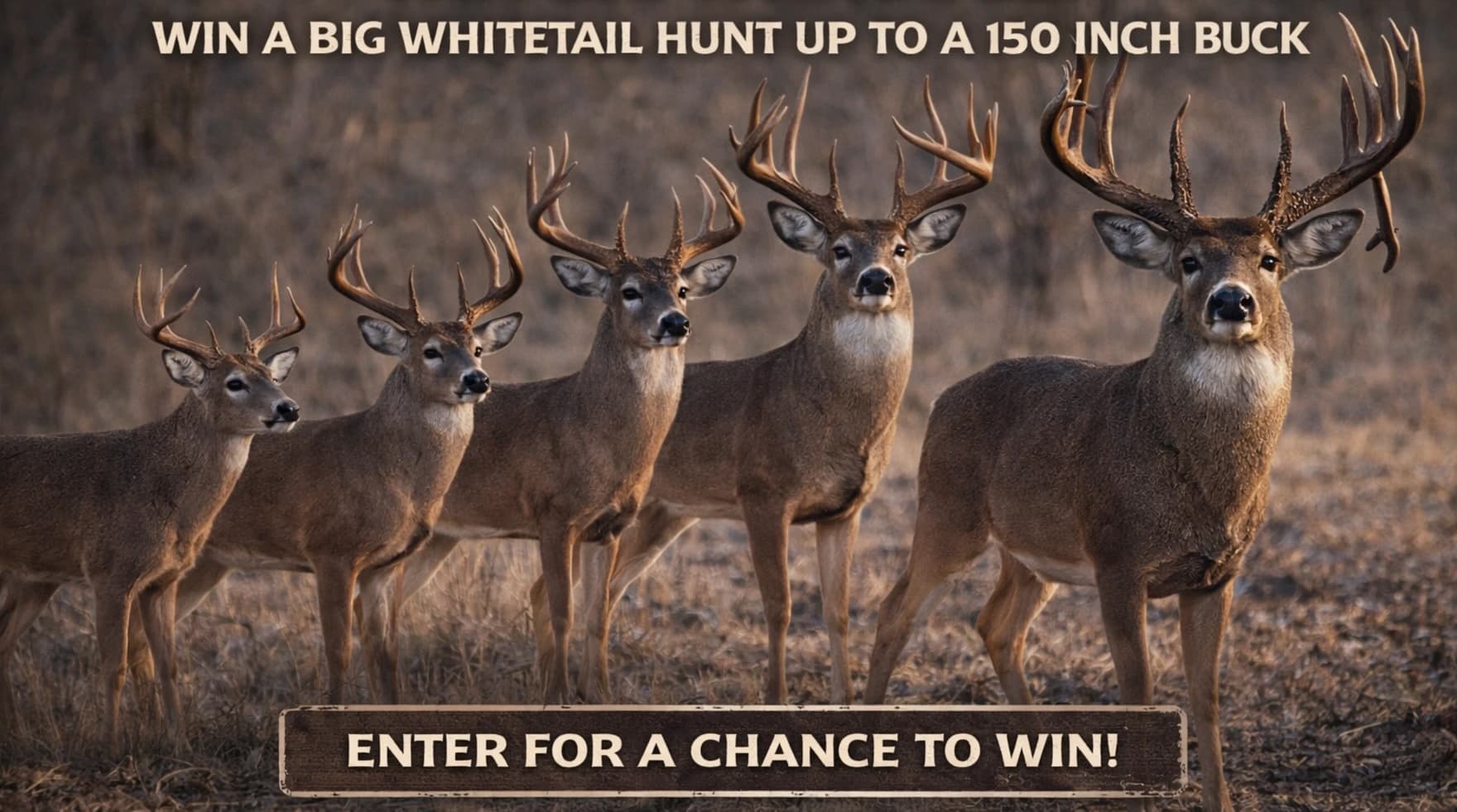 Harris Ranch sweepstakes hero image